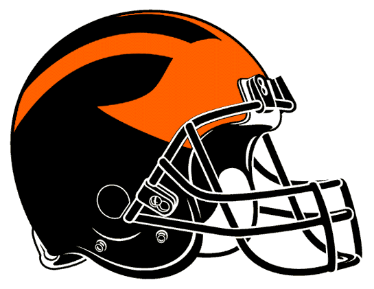 Princeton Tigers 1998-Pres Helmet Logo diy fabric transfer